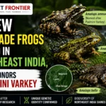 New cascade frog species discovered in Northeast India
