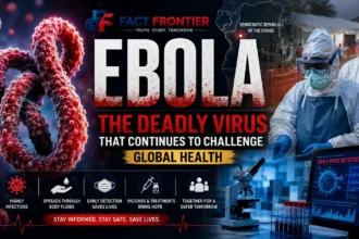 Scientific illustration of the Ebola virus with healthcare workers responding to an outbreak.