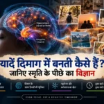 human brain neural network illustrating how memory is formed and stored