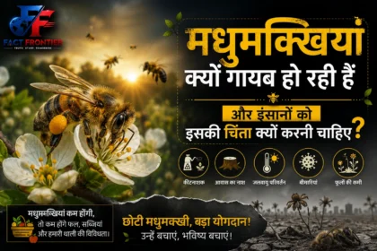 Pesticide spray on crop field causing sublethal impact on foraging bees