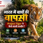 Royal Bengal Tiger resting in natural forest habitat under Project Tiger India